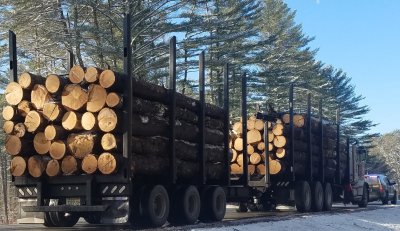 photo of overweight logging truck