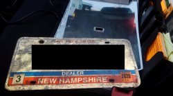 photo of the Dealer license plate